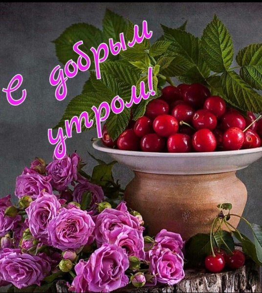 Пожелания с добрым утром с фруктами