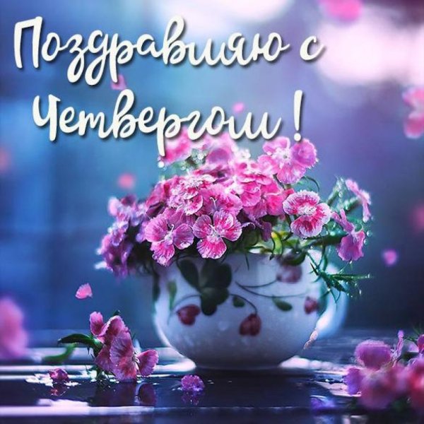 Замечательного утра и прекрасного настроения