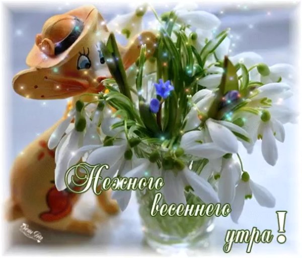 Открытки с добрым утром весенние