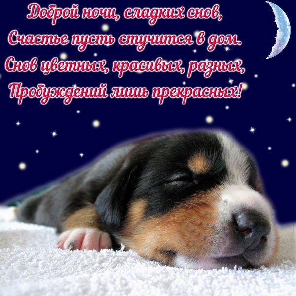 Открытки спокойной ночи