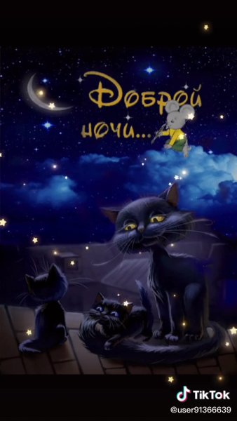 Пожелания спокойной ночи