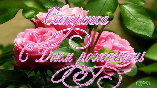 С днём рождения сеетра