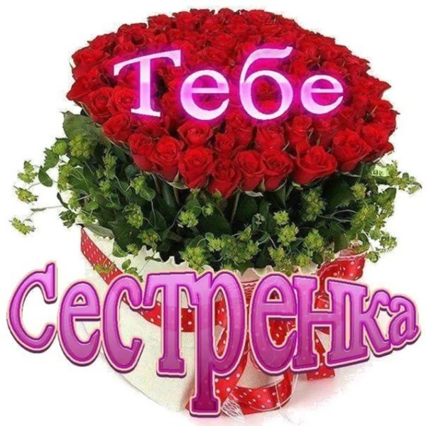 Гербера Пон Пон