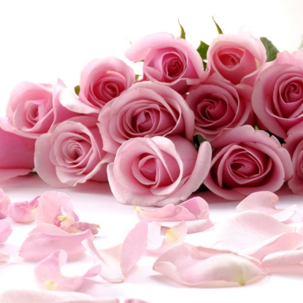 С днём рождения сестра