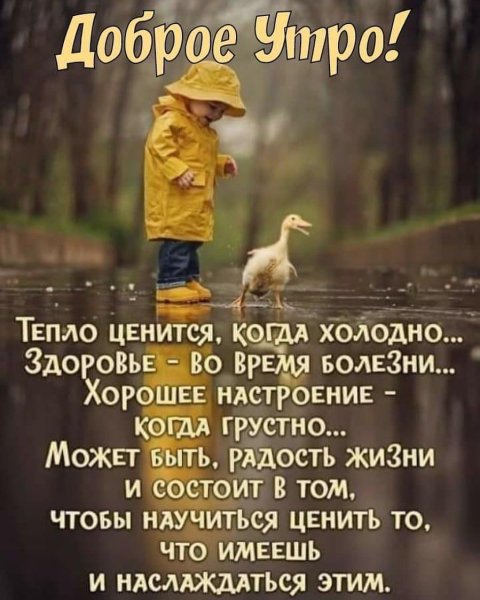 Хорошего дня умные высказывания
