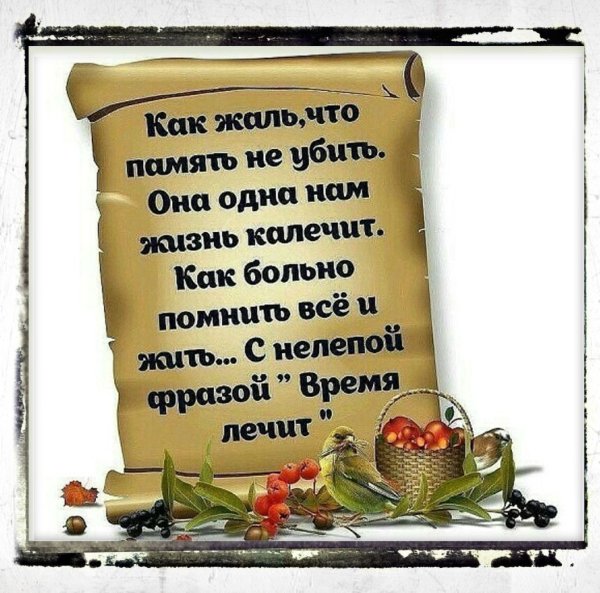 Стих время не лечит
