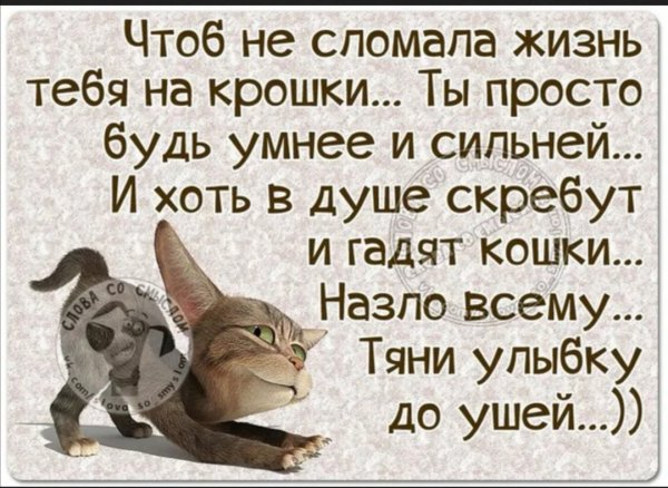 Цитаты со смыслом