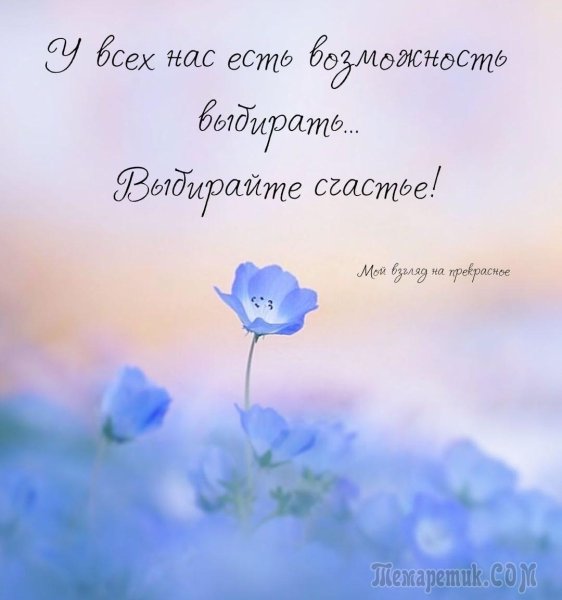 Цитаты мой взгляд на прекрасное