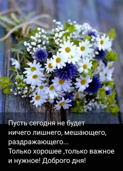 Букет маргариток голубых день рождения