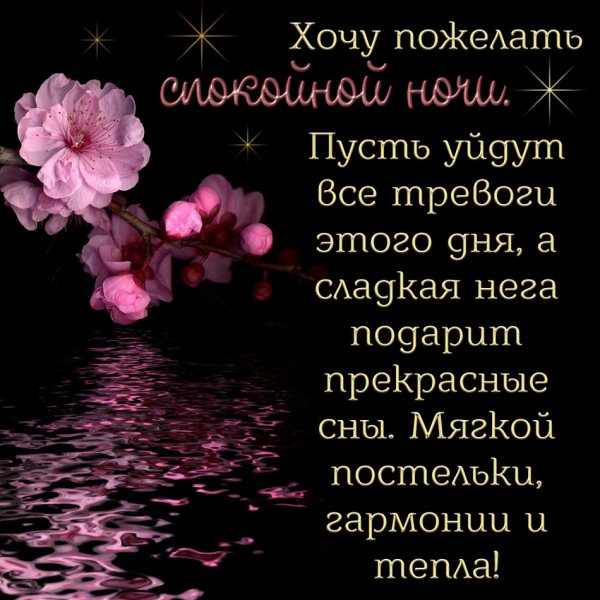 Красивые цветы на черном фоне