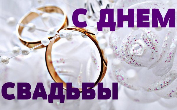 23 Года совместной жизни Берилловая свадьба