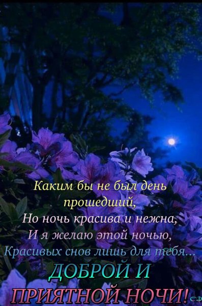 Доброго вечера и спокойной ночи