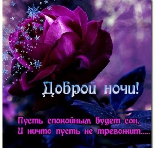 Спокойной ночи до завтра