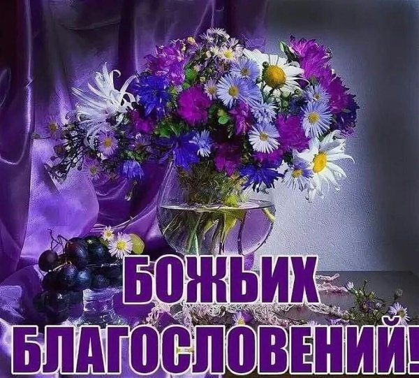 Доброк УТРАИ благославенного дн