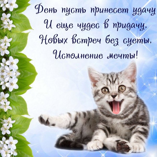 Открытки с пожелан ями