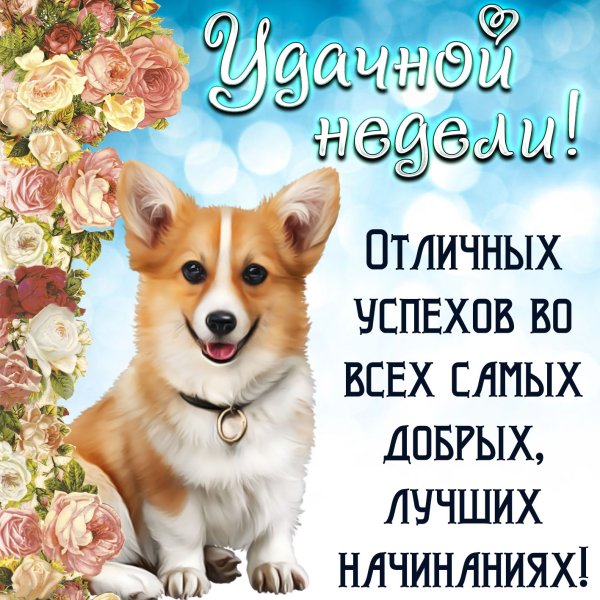 Открытки с пожеланиями хорошей недели