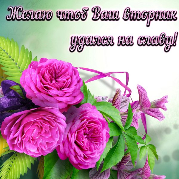 Поздравления со вторником