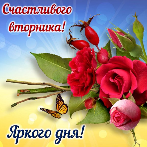 Доброе утро вторника