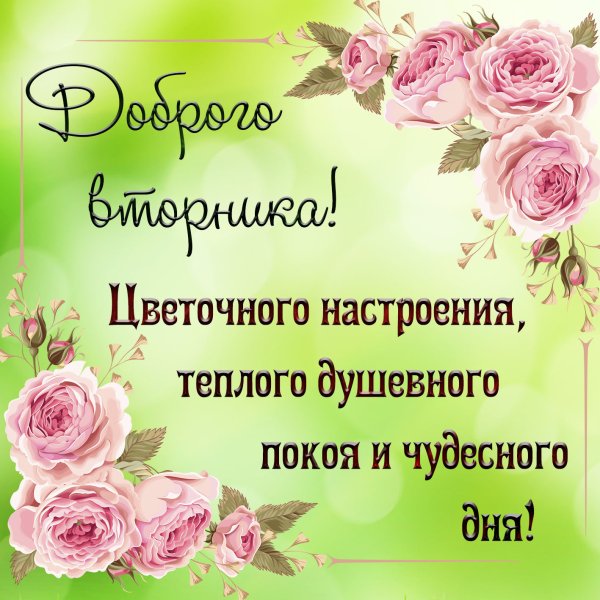 Пожелания на вторник