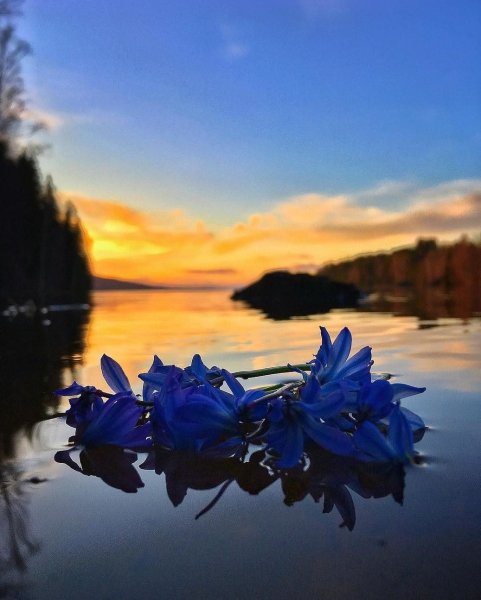 Прекрасного весеннего вечера