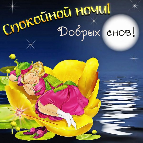 Спокойной ночи картинки прикольные