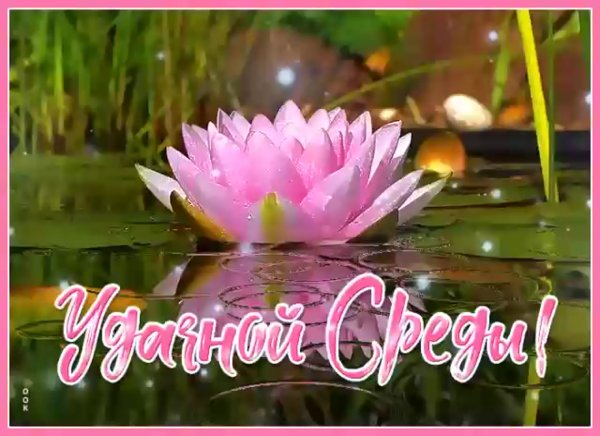 Поздравление со средой и добрым утром
