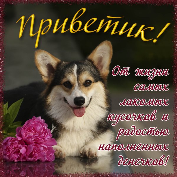 Привет картинки