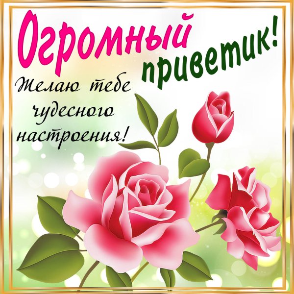 Красивое Приветствие