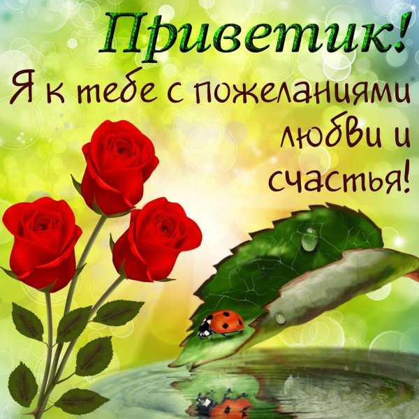 Привет с пожеланиями