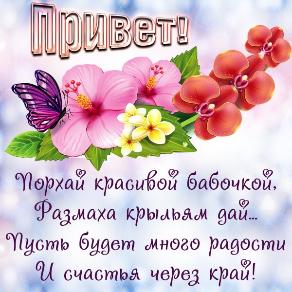 Солнечный приветик