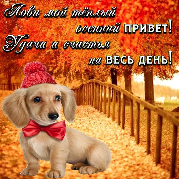 Хорошие открытки для друзей