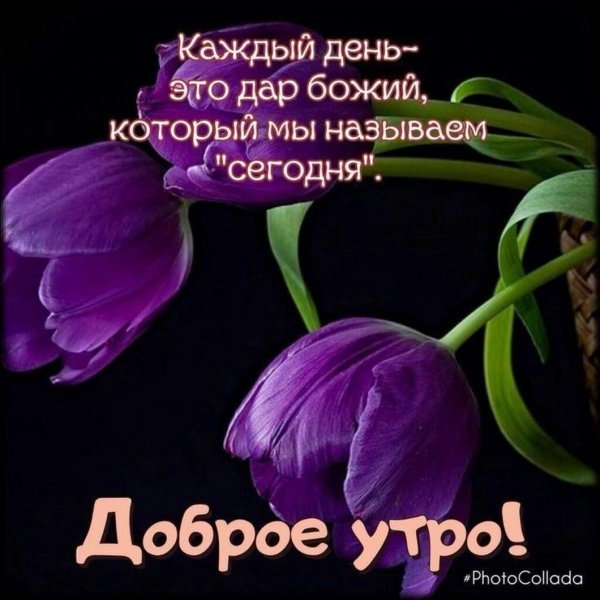 Православные картинки с пожеланиями на каждый день