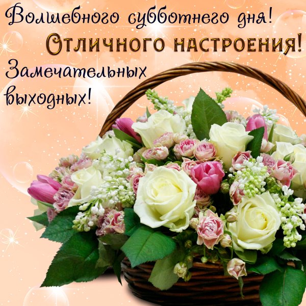 Прекрасной субботы и отличного настроения