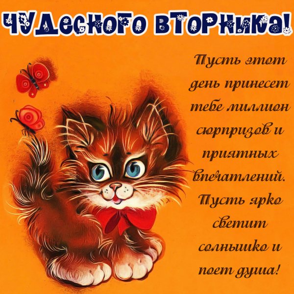 Открытки на вторник с пожеланиями