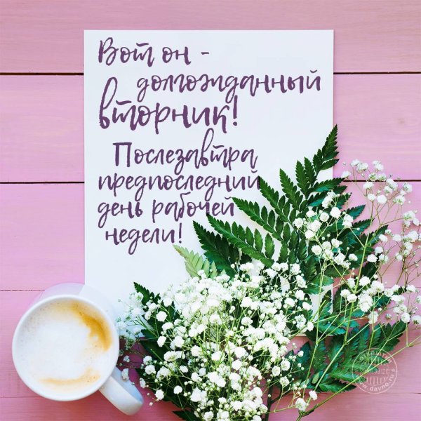 С добрым утром вторн ка