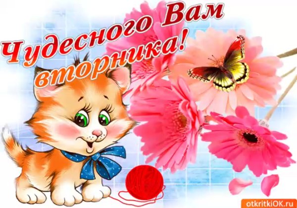 Пожелания приятного вторника и отличного настроения