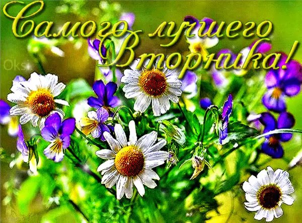 Пожелания с добрым утром вторника