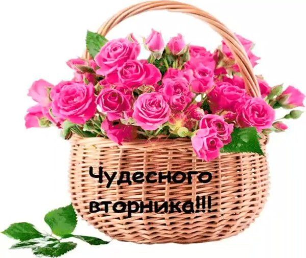 Корзинка цветов для тебя