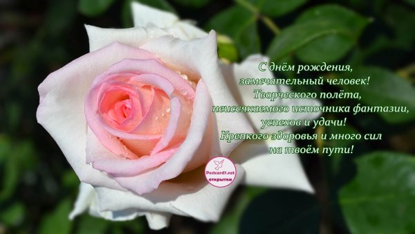 С днём рождения хорошему человеку