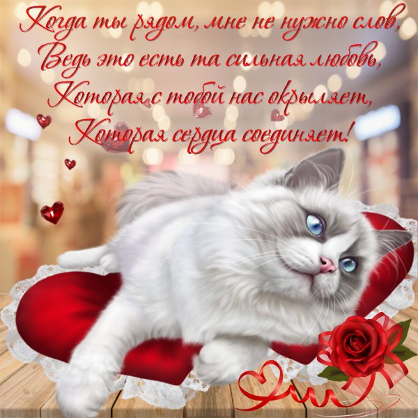 Стихи для любимых