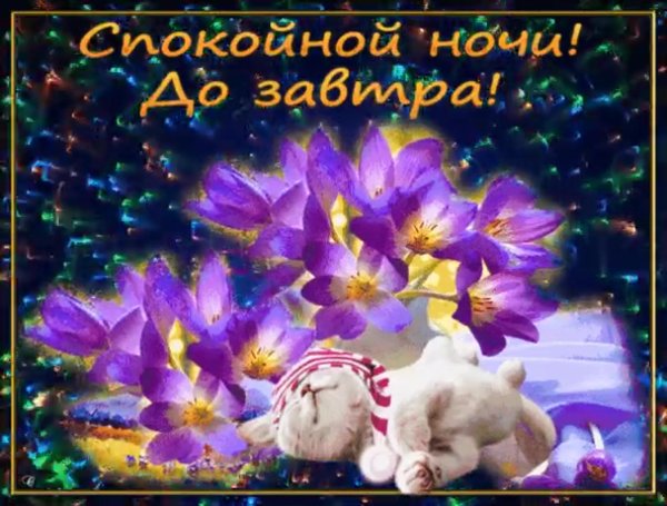 Пожеланияпойкокйной ночи