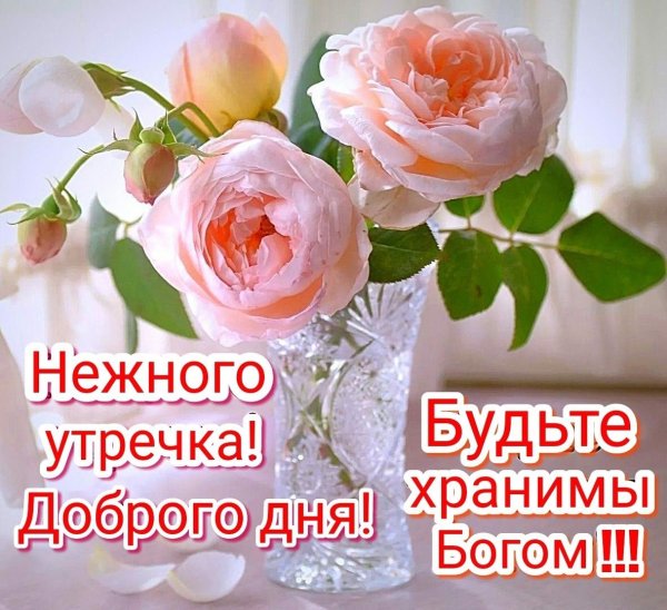 Доброе утро благословенного дня