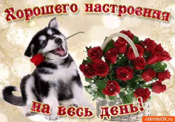 Открытки брату просто так