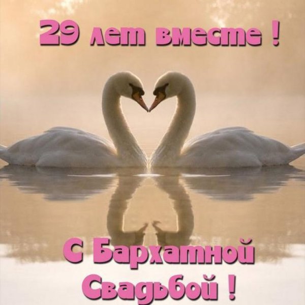 Лебеди с бархатной свадьбой 29 лет
