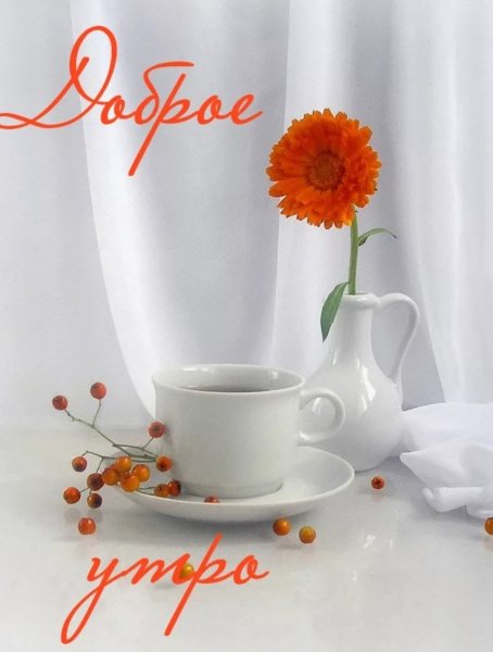 Пожелаеи ям ч дрбрым утром