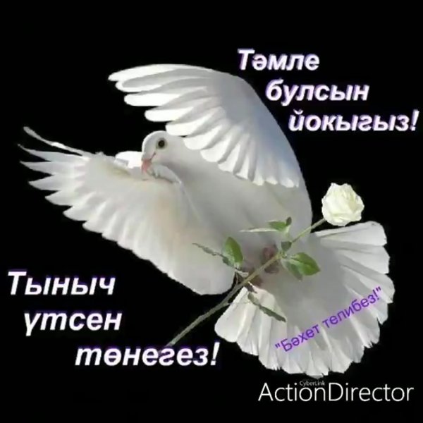 Открытки спокойной ночи на татарском языке