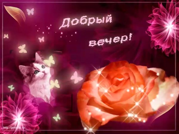 Добрый вечер картинки
