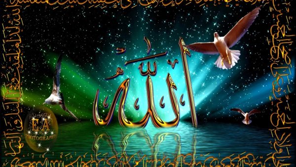 Спокойной ночи Аллах