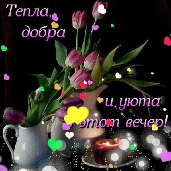 Пожелания с добрым вечером и доброй ночи