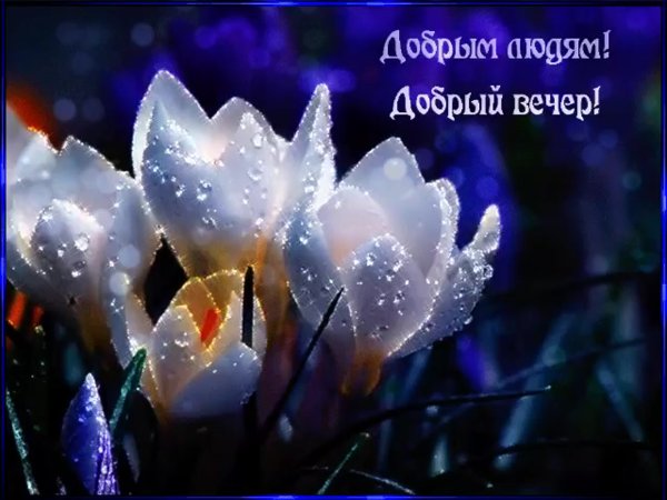 Добрый вечерок